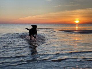 Casa per le vacanze Makkum Ambiente 27