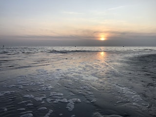 Vakantiehuis Makkum Omgeving 29