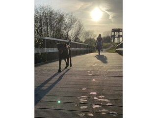 Vakantiehuis Makkum Omgeving 30