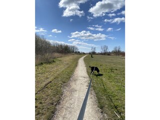 Casa per le vacanze Makkum Ambiente 34