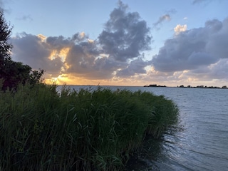 Vakantiehuis Makkum Omgeving 35