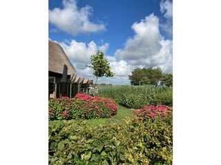 Vakantiehuis Makkum Omgeving 37