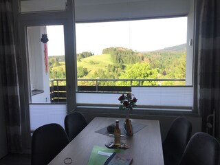 Blick zum Brocken