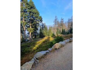 Wanderwege