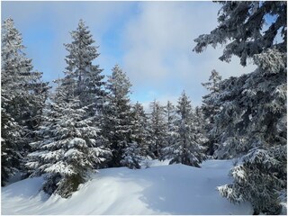 Winterlandschaft