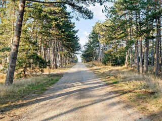 Vakantiehuis Sjællands Odde Buitenaudio-opname 2