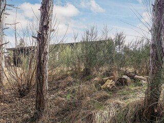 Ferienhaus Sjællands Odde  13