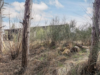 Vakantiehuis Sjællands Odde  13