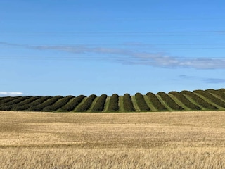 Maison de vacances Sjællands Odde  37