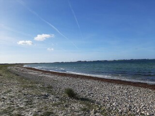 Ferienhaus Sjællands Odde  50
