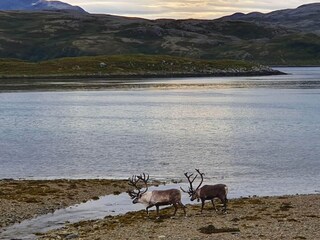 Ferienhaus Rebbenes Außenaufnahme 10