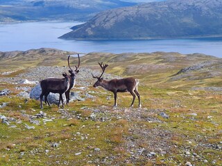 Holiday house Rebbenes Outdoor Recording 20
