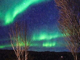 Ferienhaus Rebbenes Außenaufnahme 7