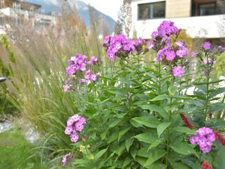 Apartamento Fulpmes  39