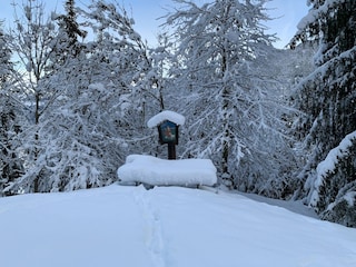 Apartment Fulpmes Außenaufnahme 10