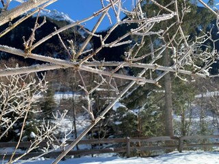 Apartment Fulpmes Außenaufnahme 7