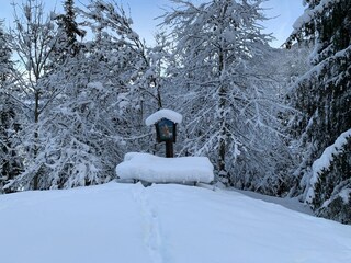 Apartment Fulpmes Außenaufnahme 5