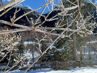 Apartment Fulpmes Außenaufnahme 6