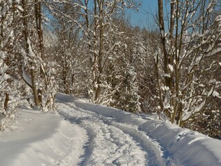 Appartement Fulpmes Environnement 31
