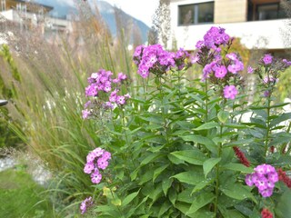 Appartamento Fulpmes  30