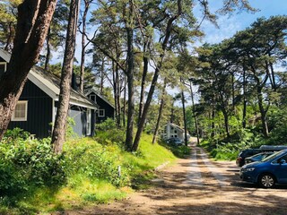 Vakantiehuis Baabe Buitenaudio-opname 4
