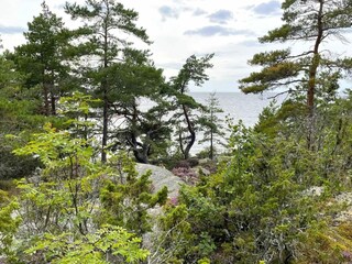 Vakantiehuis Welt  24