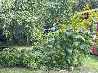 Vakantiehuis Welt Buitenaudio-opname 7