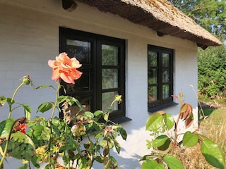 Ferienhaus Vaeggerløse  3