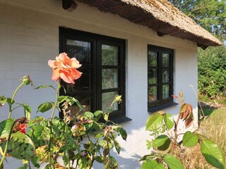 Vakantiehuis Vaeggerløse  3