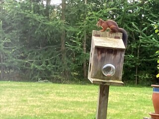 Maison de vacances Trend  14