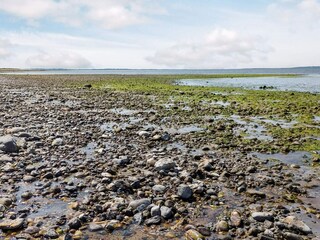 Holiday house Trend  15