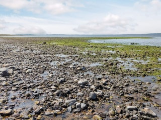 Holiday house Trend  21