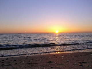 Holiday house Trend  15