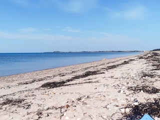 Holiday house Trend  16