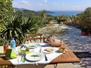 Ferienhaus Hübsches Ferienhäuschen mit Meerblick, Le Lavandou - Le Lavandou - image1