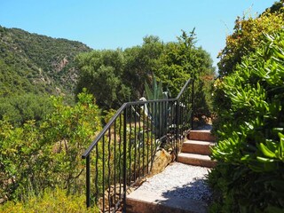 Holiday house Le Lavandou Outdoor Recording 15