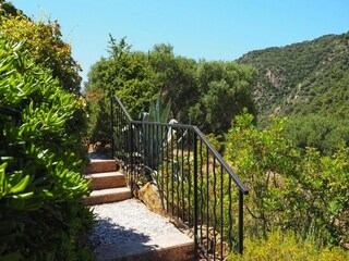 Holiday house Le Lavandou Outdoor Recording 16