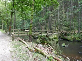 Vakantiehuis Wiek Omgeving 14