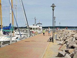 Vakantiehuis Wiek Omgeving 15
