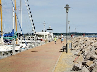 Vakantiehuis Wiek Omgeving 22