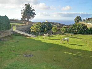 Ferienwohnung Finca Palmeras 2 - La Guancha - image1