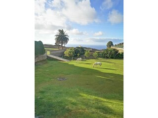 Vakantieappartement La Guancha Buitenaudio-opname 1