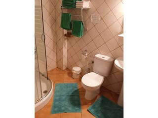 Appartamento per vacanze La Guancha Caratteristiche 12