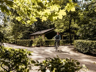 Chalet Borger  19