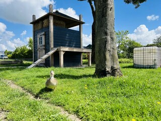 Bungalow Dirkshorn  23