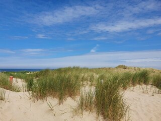 Chalet Callantsoog  21