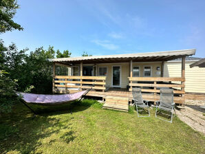 Chalet CS 53 - Vakantiepark Callassande - Callantsoog - image1