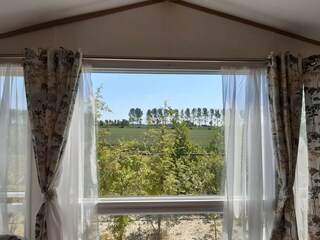 Chalet Nieuwvliet Umgebung 15