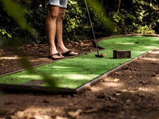 Chalet Wissenkerke Environment 12