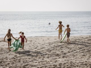 Chalet Wissenkerke Environment 11